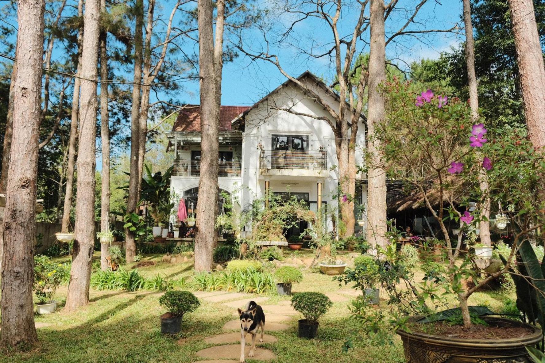 S'Nghe Homestay Mang Den Kon Von Kla Exterior foto