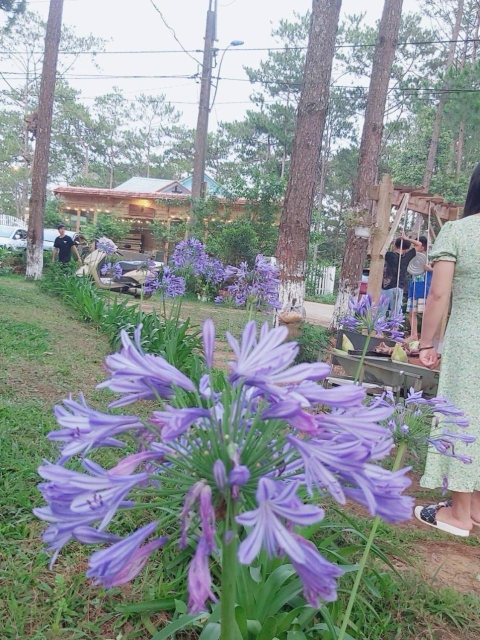 S'Nghe Homestay Mang Den Kon Von Kla Exterior foto