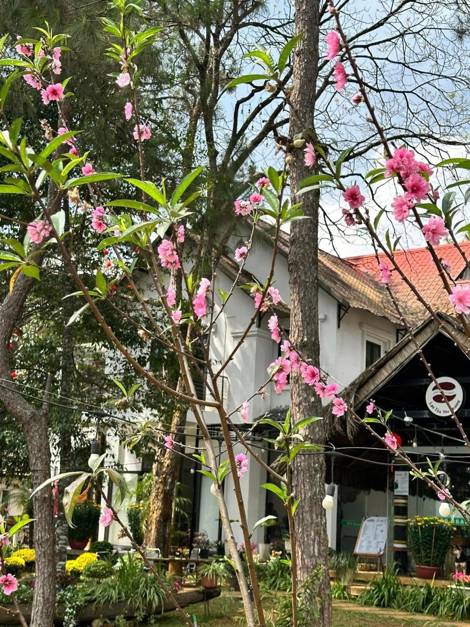 S'Nghe Homestay Mang Den Kon Von Kla Exterior foto