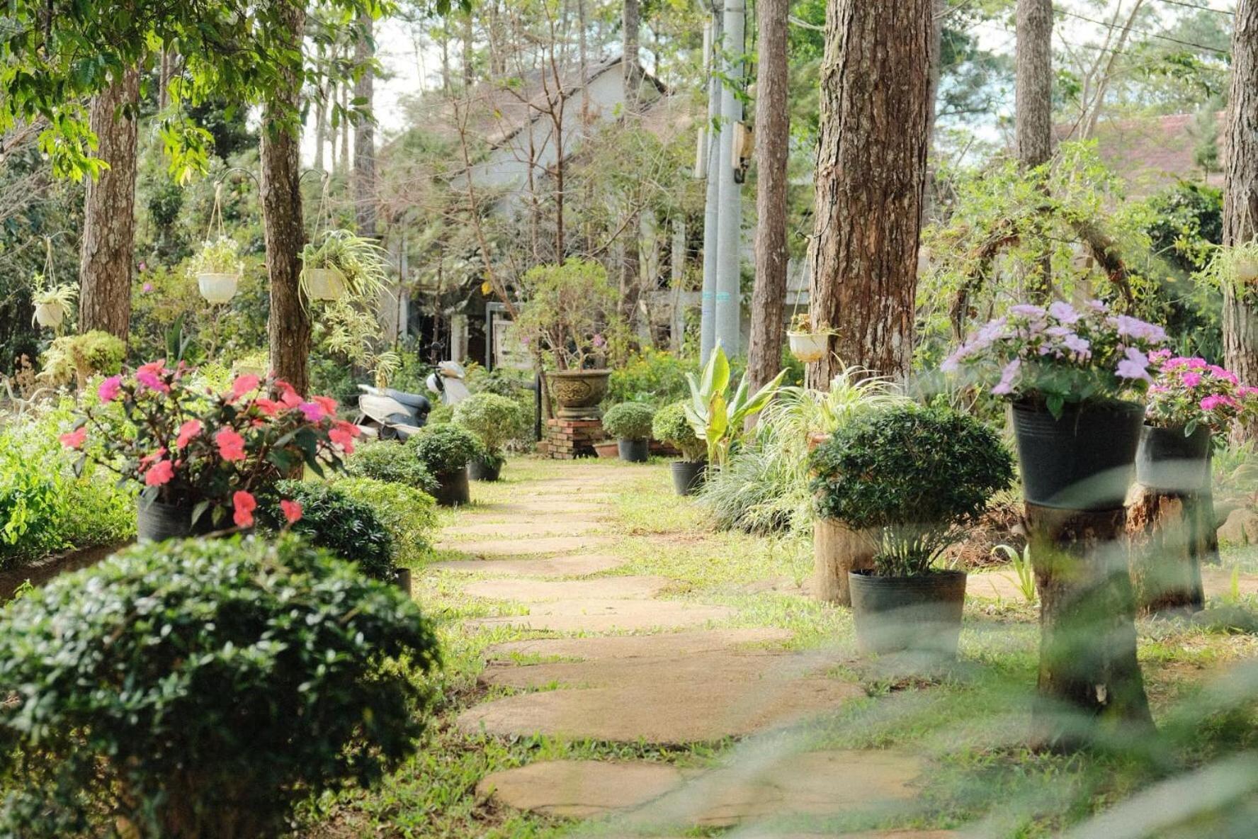 S'Nghe Homestay Mang Den Kon Von Kla Exterior foto