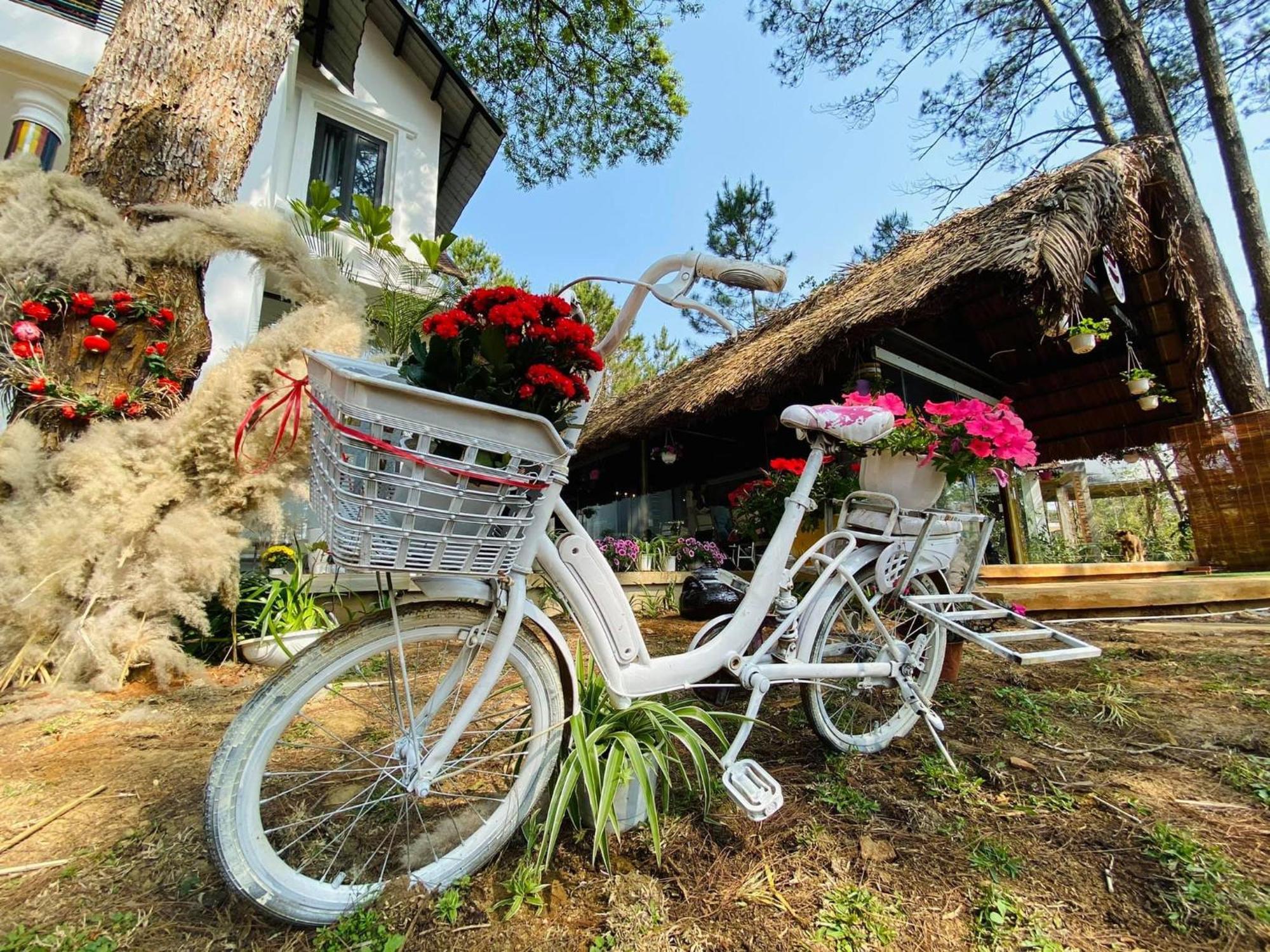 S'Nghe Homestay Mang Den Kon Von Kla Exterior foto